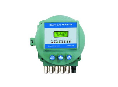 Smart Gas Transmitters GT-2500-series